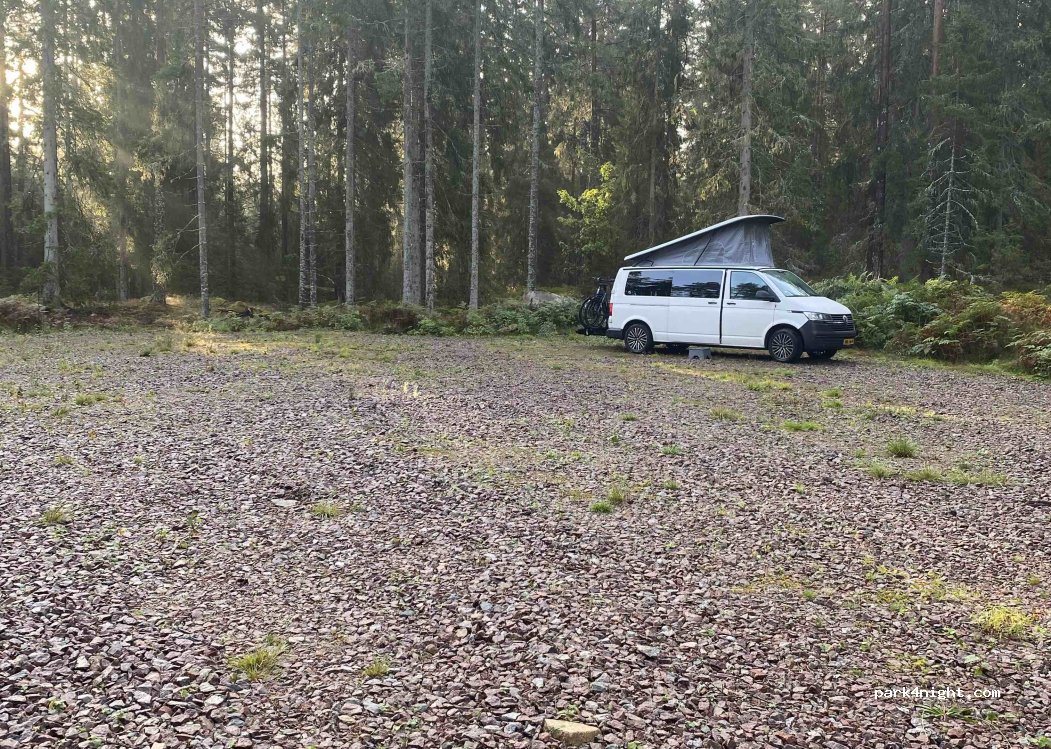 (579 93) Grönskåra - 125 — foto