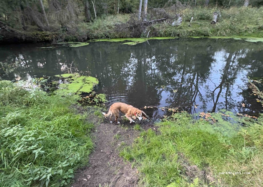 (29683) Bad Fallingbostel - — foto 2
