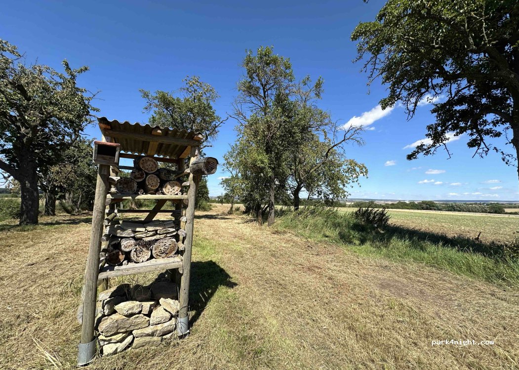 (99713) Ebeleben - Mehrstedter Weg — foto 3