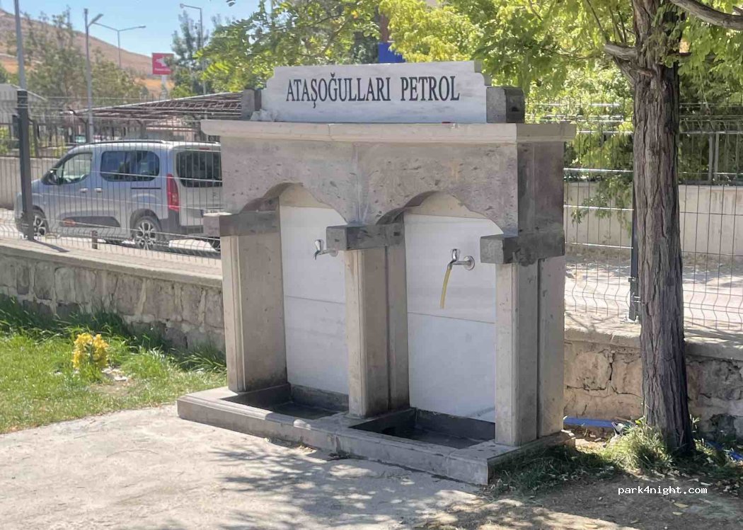 (38700) Pınarbaşı - D300 — foto