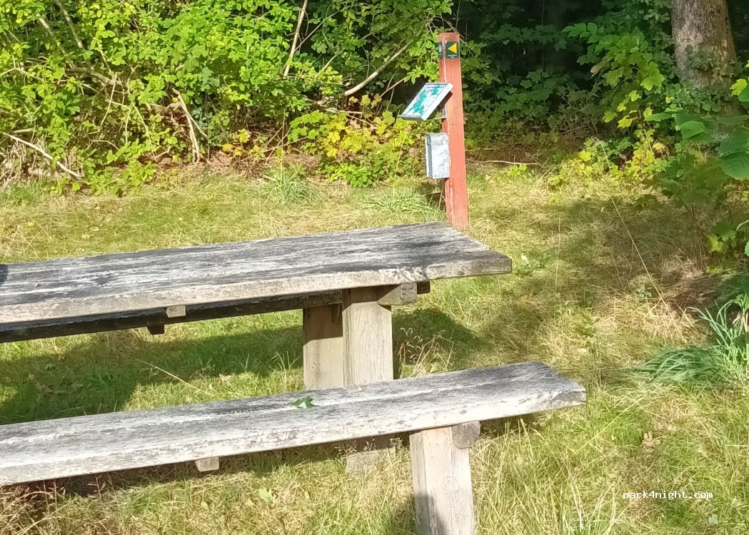 (7700) Klitmøller - Rute 4 - gul — foto 3