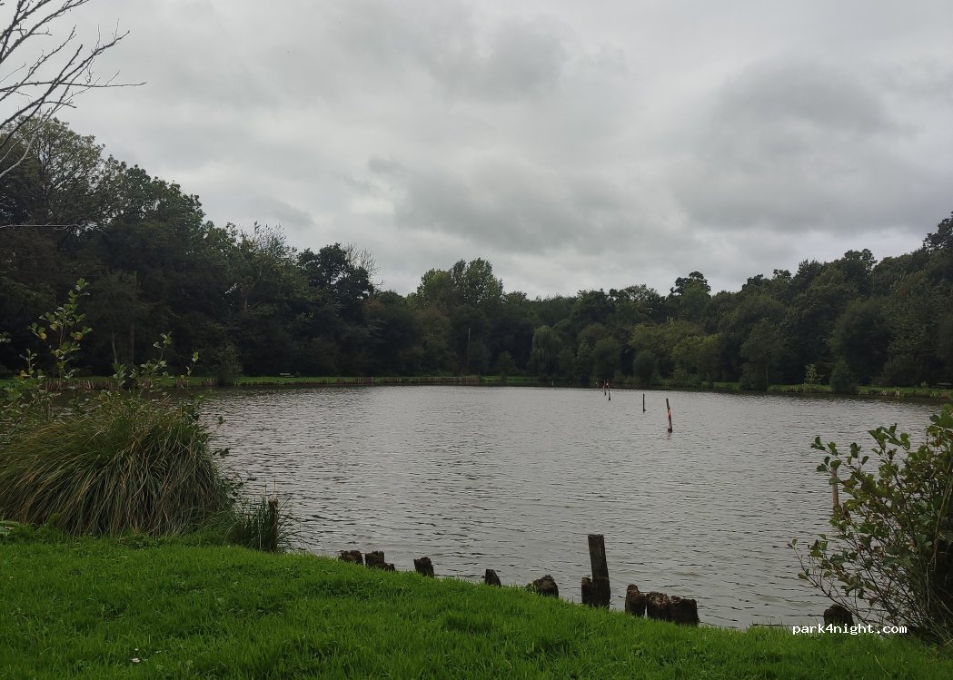(50390) Saint-Sauveur-le-Vicomte - — foto
