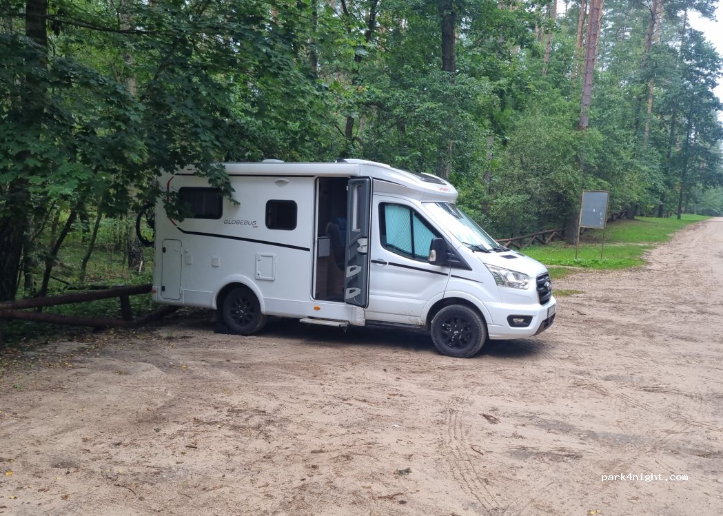 (10-687) Dąb - — foto