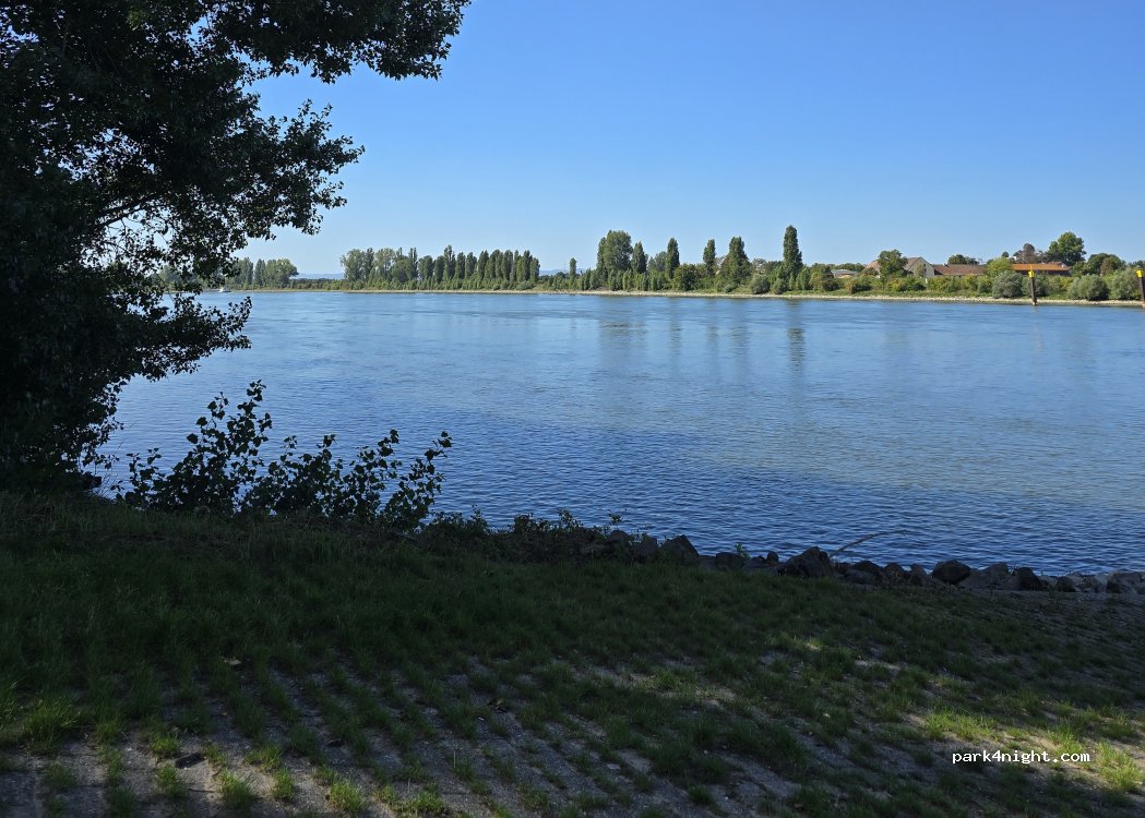 (68307) Mannheim - Unnamed Road — foto