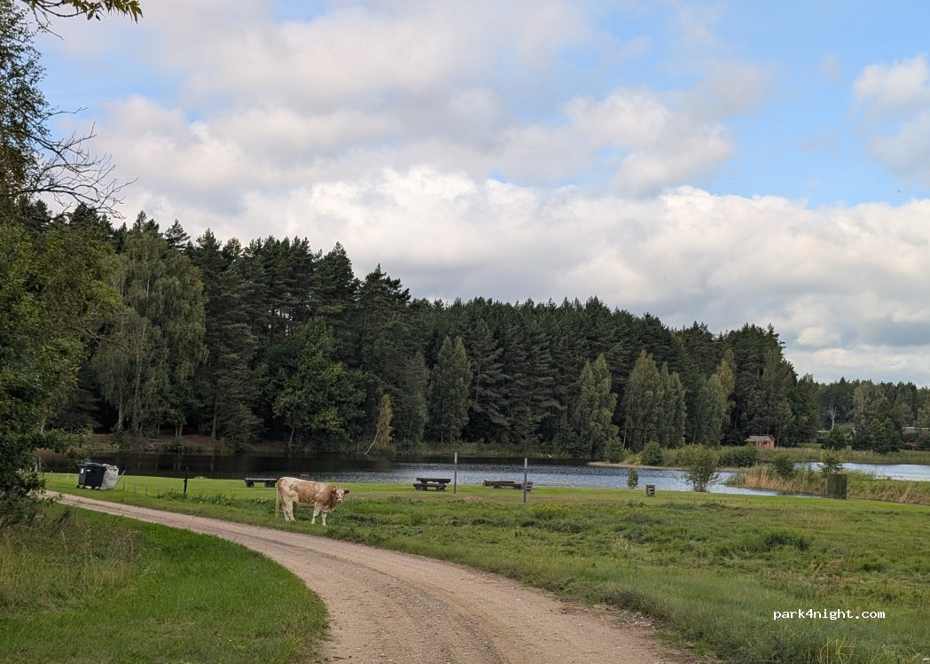 (69388) Plačkojai - — foto