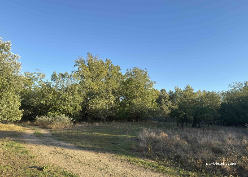 (307386) Sânpetru Mare - Dig — foto 3