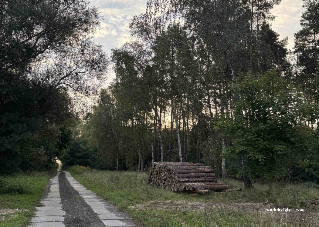 (72-002) Dołuje - 10 — foto