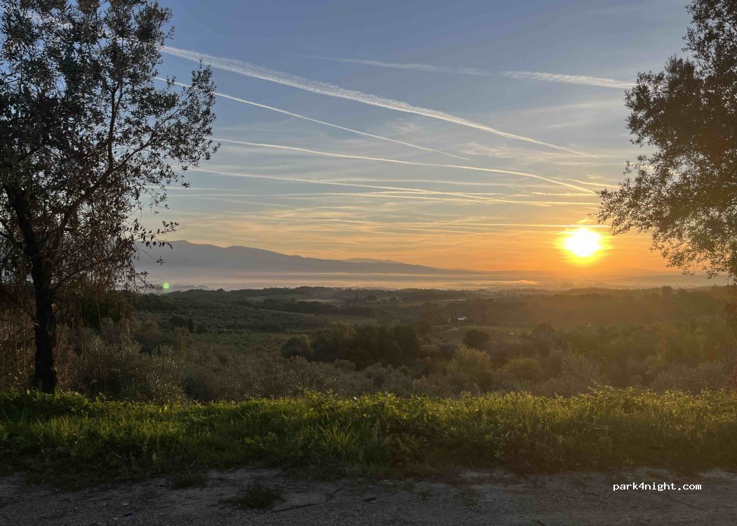 (52022) Cavriglia - Strada Comunale della Selva di Montegonzi — foto