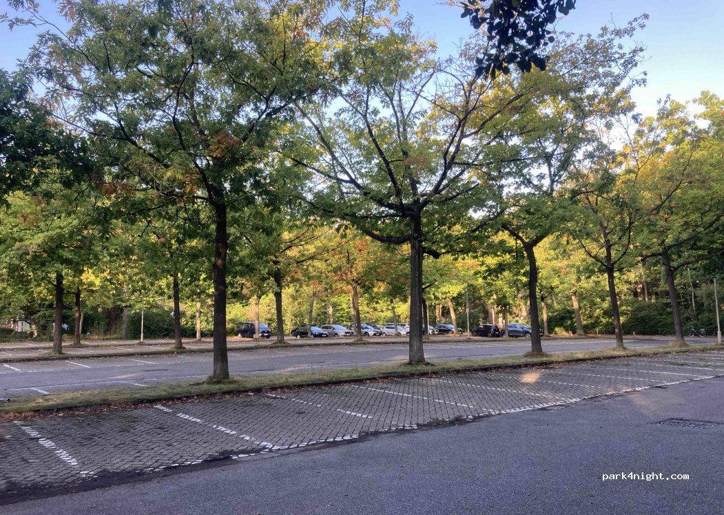 (2930) Brasschaat - Beukendreef — foto 2