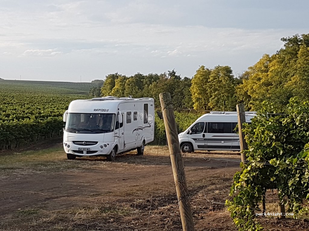 Château Purcari — foto