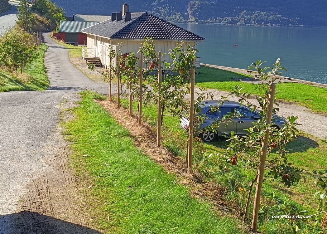 (5786) Eidfjord - Simadalsvegen — foto 2