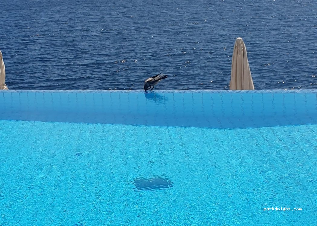 Marina Camping Resort by Valamar — foto 2