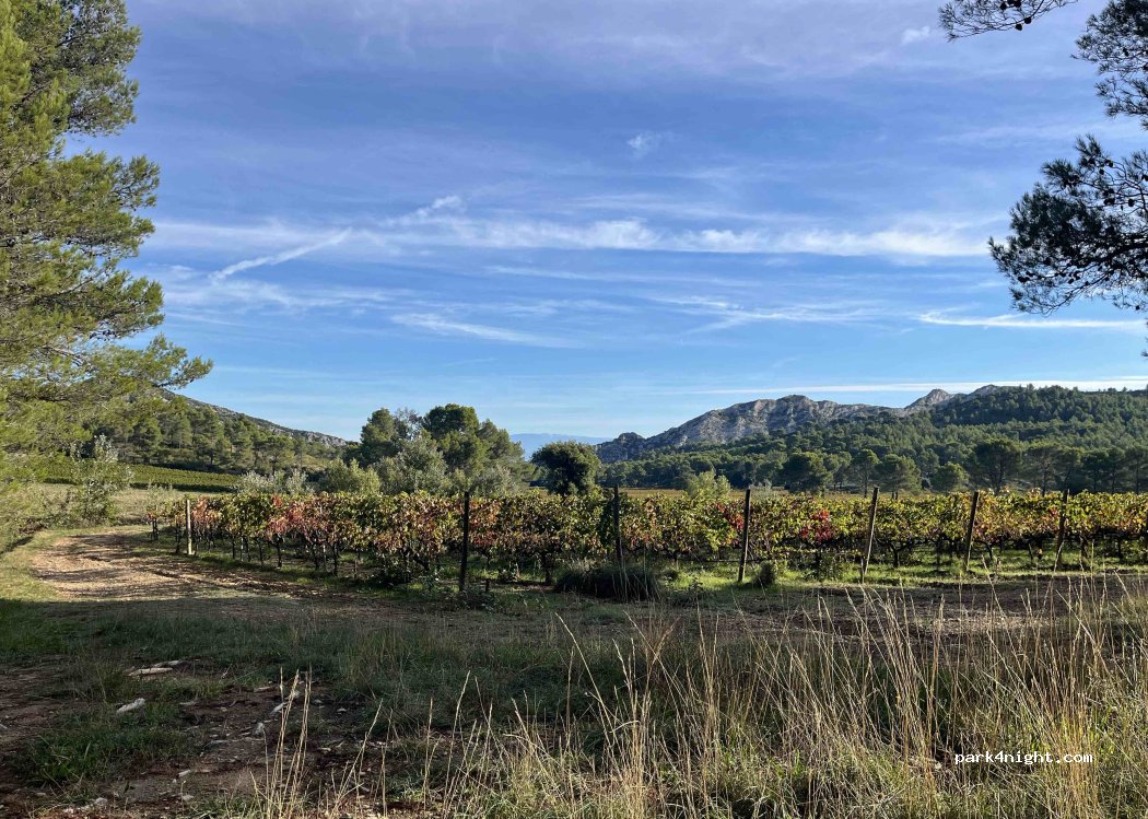 (13890) Mouriès - D 24 — foto 3