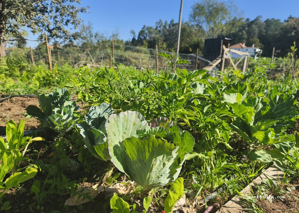 Quintinha dos Quivis — foto 2