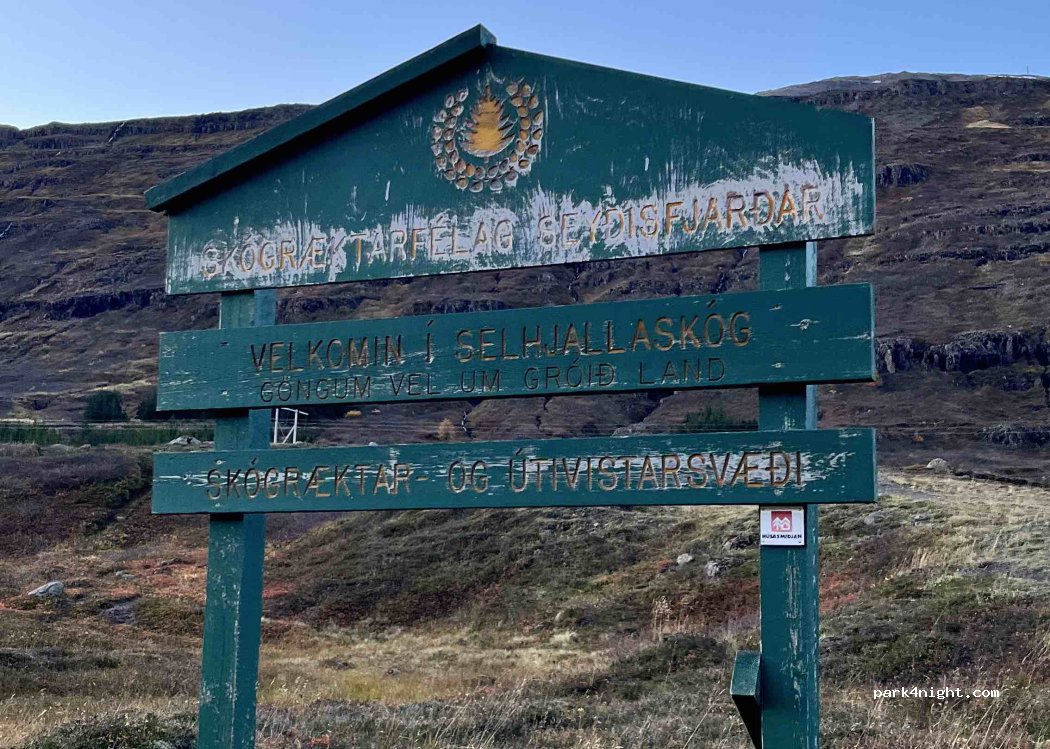 Seydisfjordur - Seyðisfjarðarvegur — foto 3