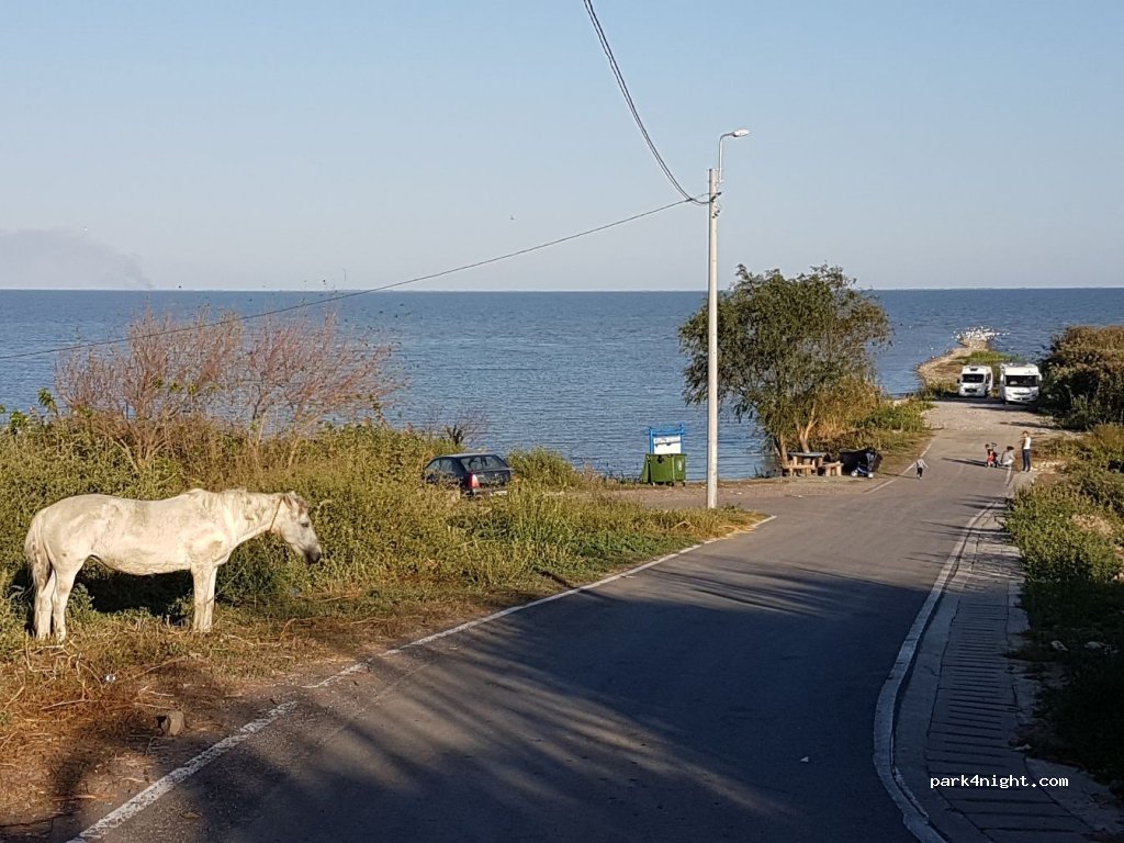 (827190) Sarichioi - Unnamed Road — foto