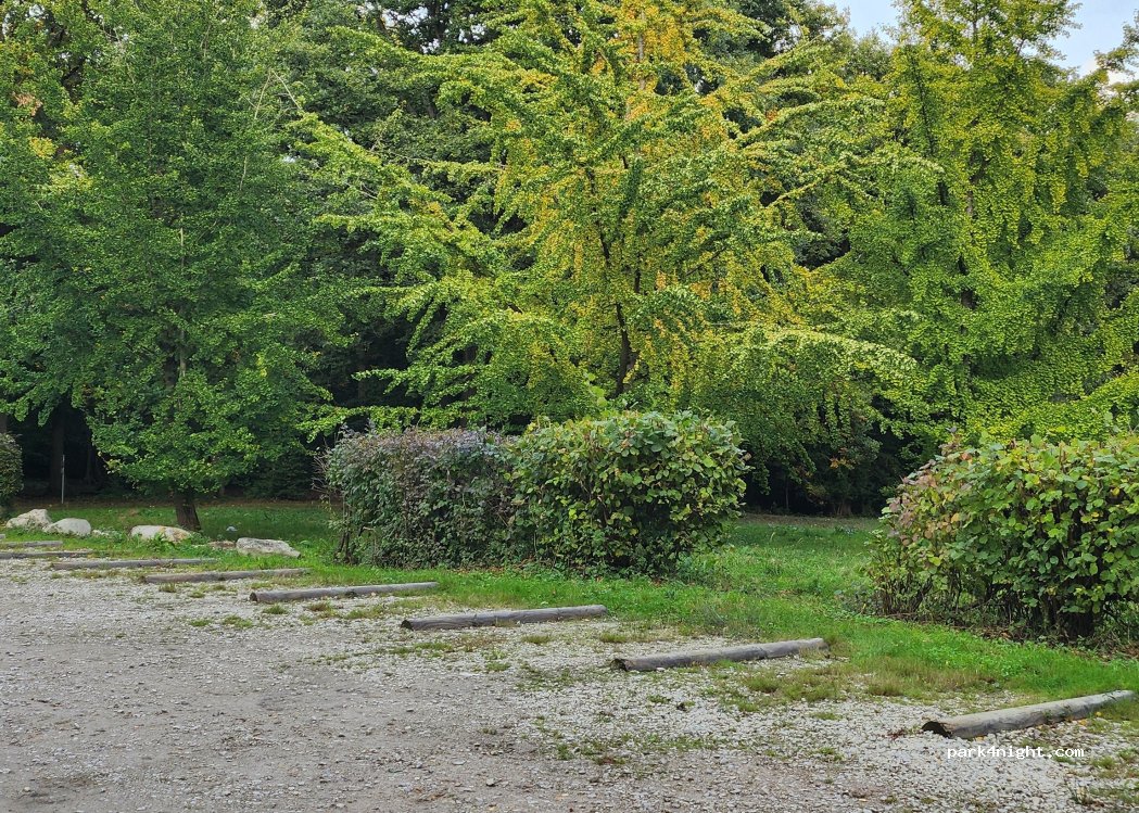 (76480) Duclair - Allée des Charmilles — foto