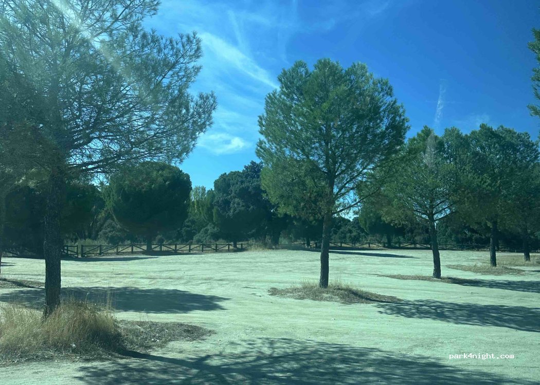 (28229) Villanueva del Pardillo - Camino del Pepinar — foto