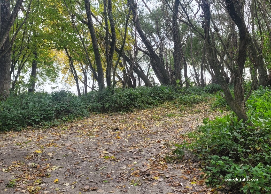 () Kisbajcs - 13101 — foto 2