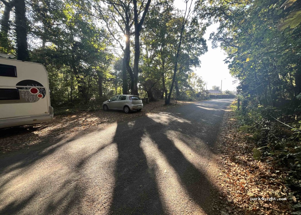 (44250) Saint-Brevin-les-Pins - Chemin du Breneau — foto