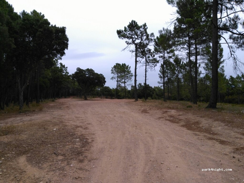 (83440) Tourrettes - 1301 Ancien Chemin de Grasse — foto