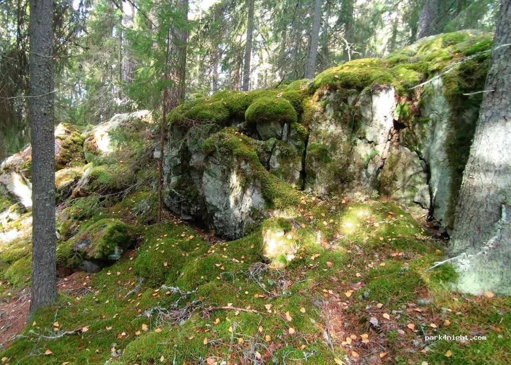 (81300) Hofors - — foto 5