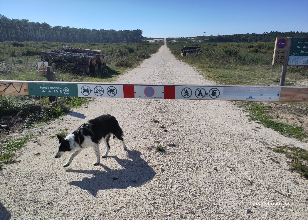 (33260) La Teste-de-Buch - Piste Cyclable La Teste de Buch - Biscarrosse Plage — foto
