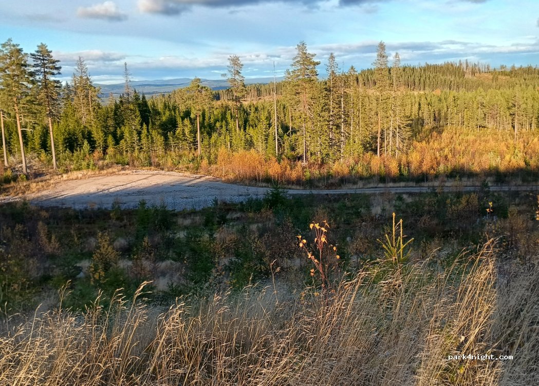 (786 93) Nås - — foto