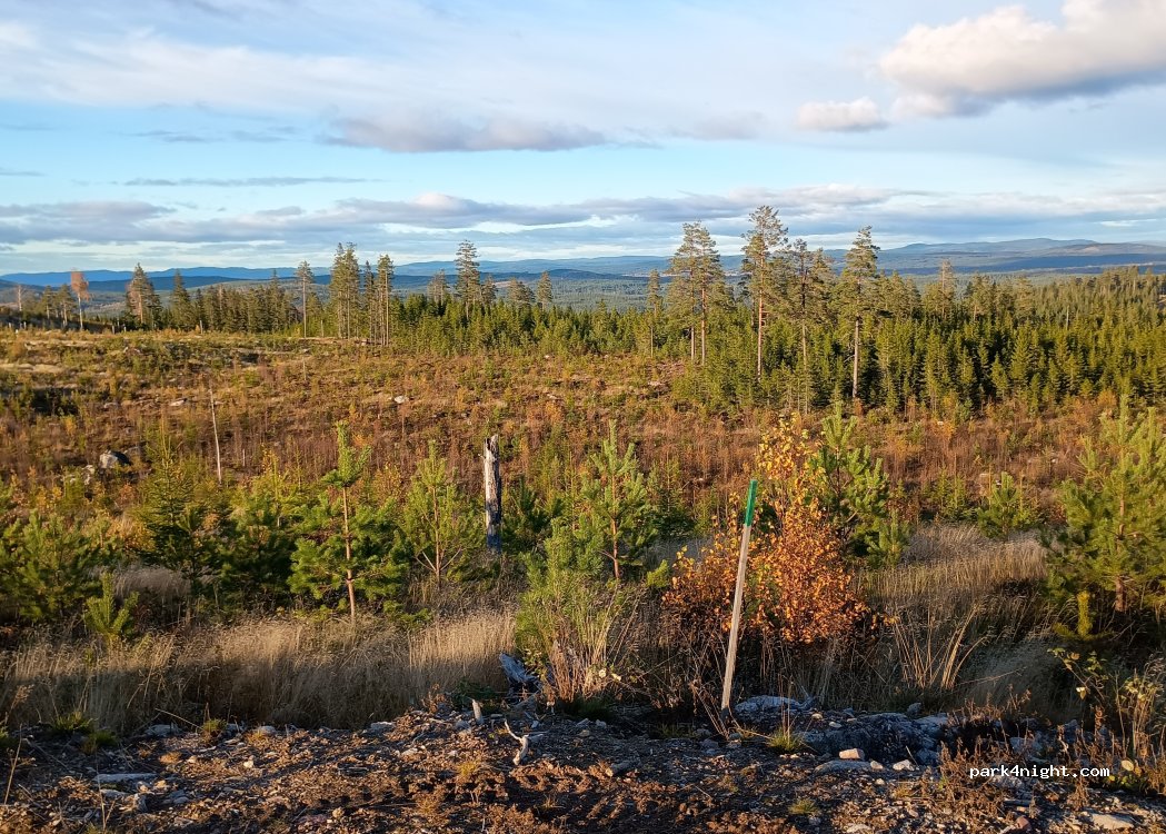 (786 93) Nås - — foto 2