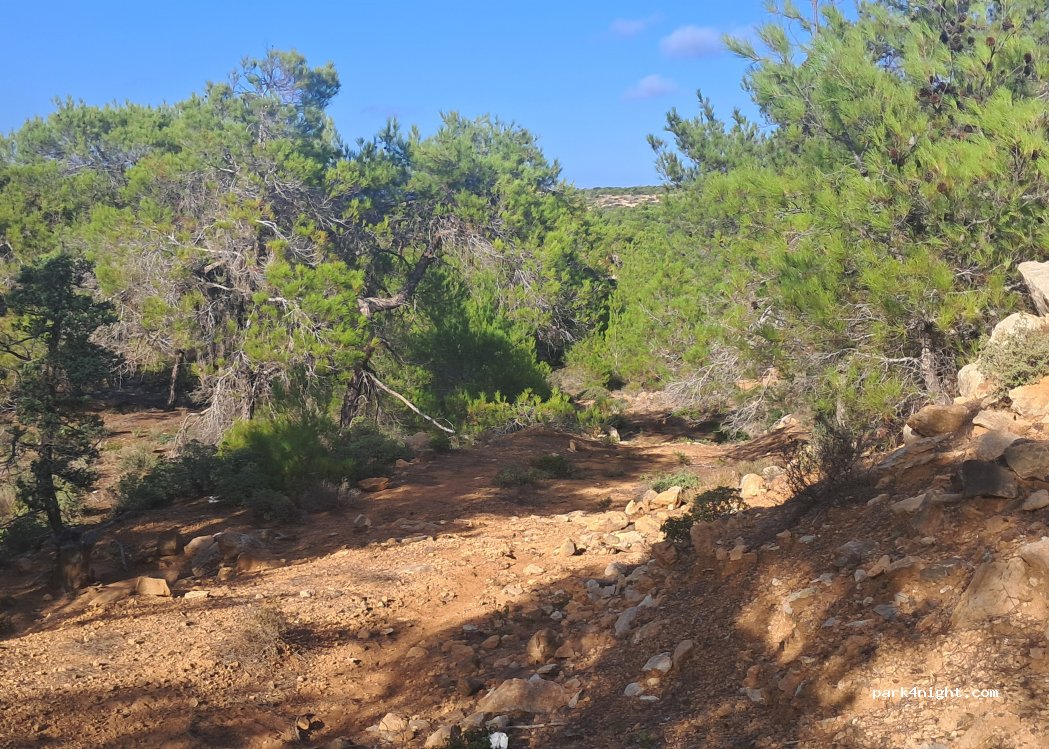 (730 01) Λιβυκό Πέλαγος, - — foto
