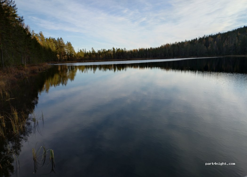 (82026) Stråtjära - X 588 — foto 4