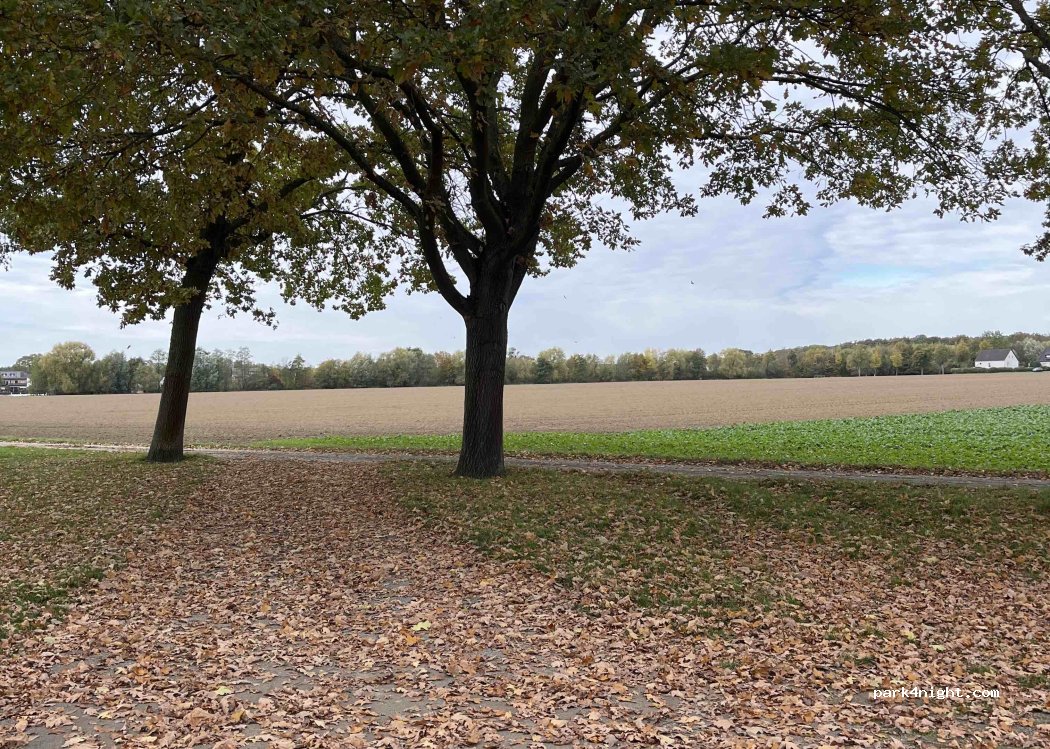 (59199) Bönen - Butterwinkel — foto