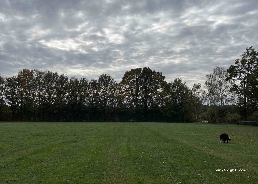 (59199) Bönen - Butterwinkel — foto 4