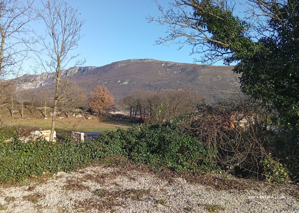 (52232) Stepčići - — foto 3