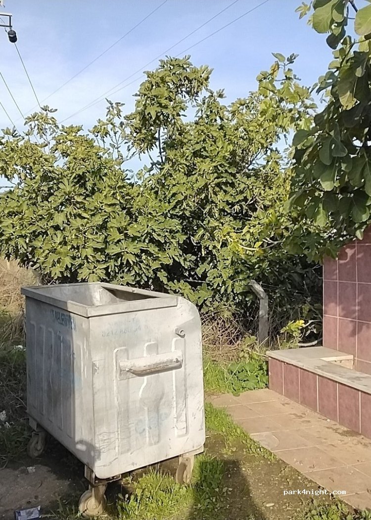 (16800) Orhangazi - İznik-Yalova yolu — foto