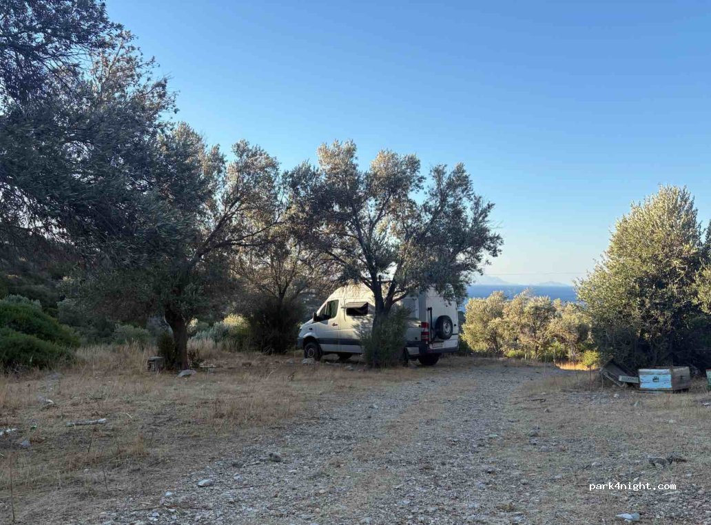 (48900) Muğla - — foto