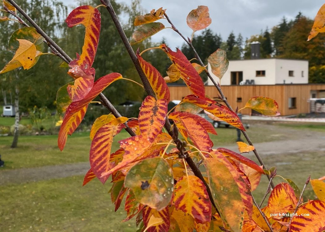 ERZ.IDYLL Warmbad — foto 2