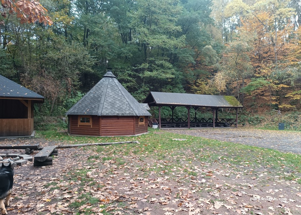 (44-207) Rybnik - Podgórna — foto 2