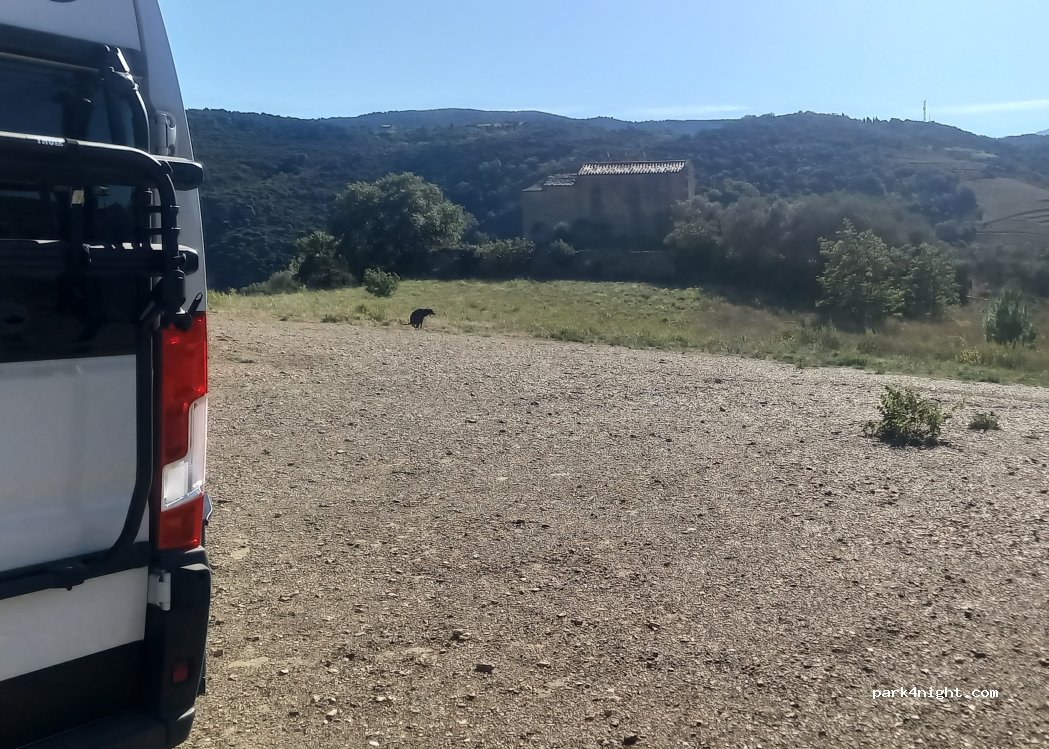 (66720) Planèzes - Chemin de las Fontasses — foto 3