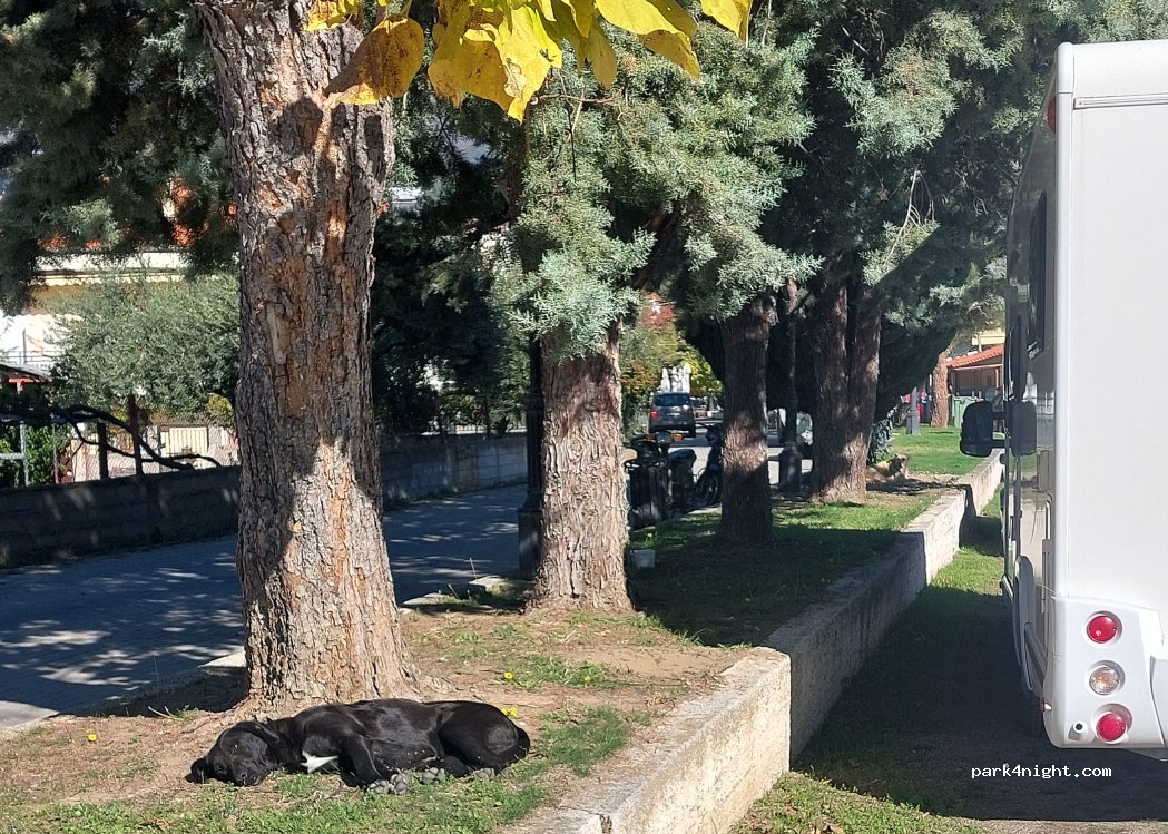 (67100) Toxotes - Μέγα Τύμπανο - Τοξότες — foto 2