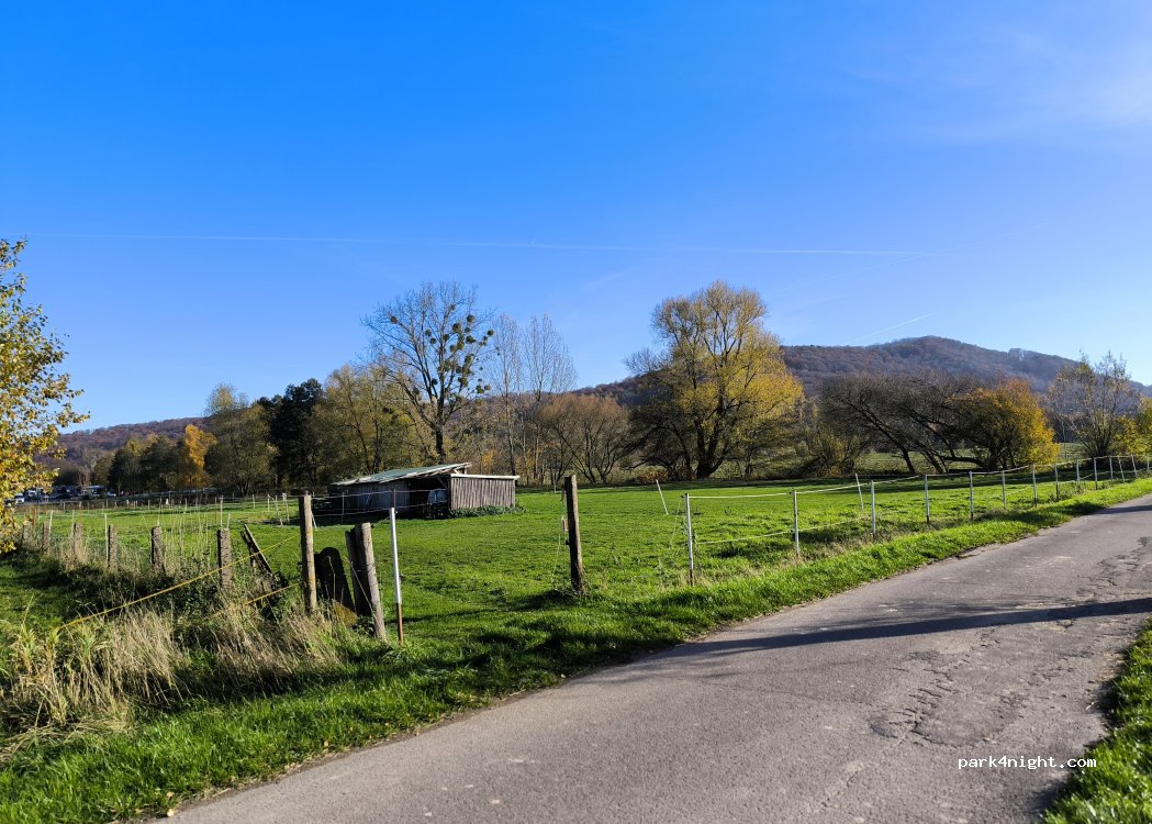 (37586) Dassel - Am Pfingstanger — foto 3