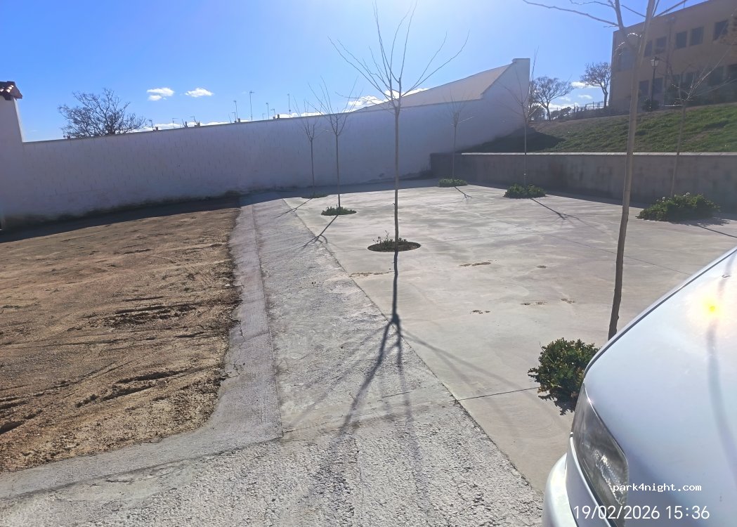 (02612) Munera - Calle Bodas de Camacho — foto 4