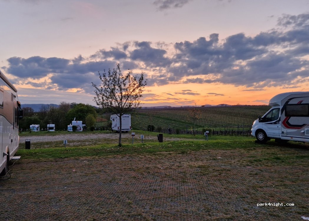 Familienweingut Geiger — foto 2