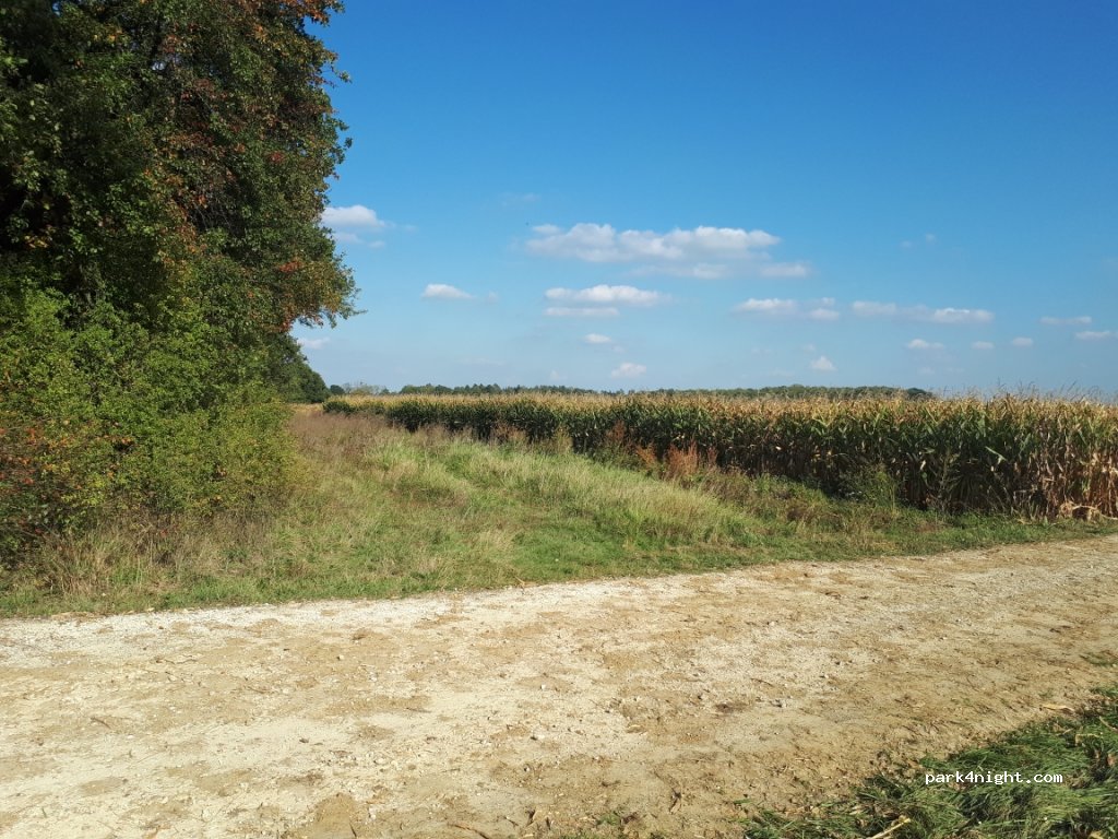 (54200) Lagney - D101 — foto