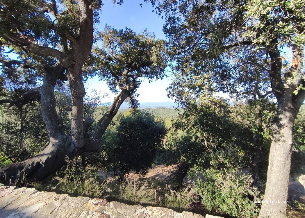 (17243) Quart - Camí de Can Merla — foto 2