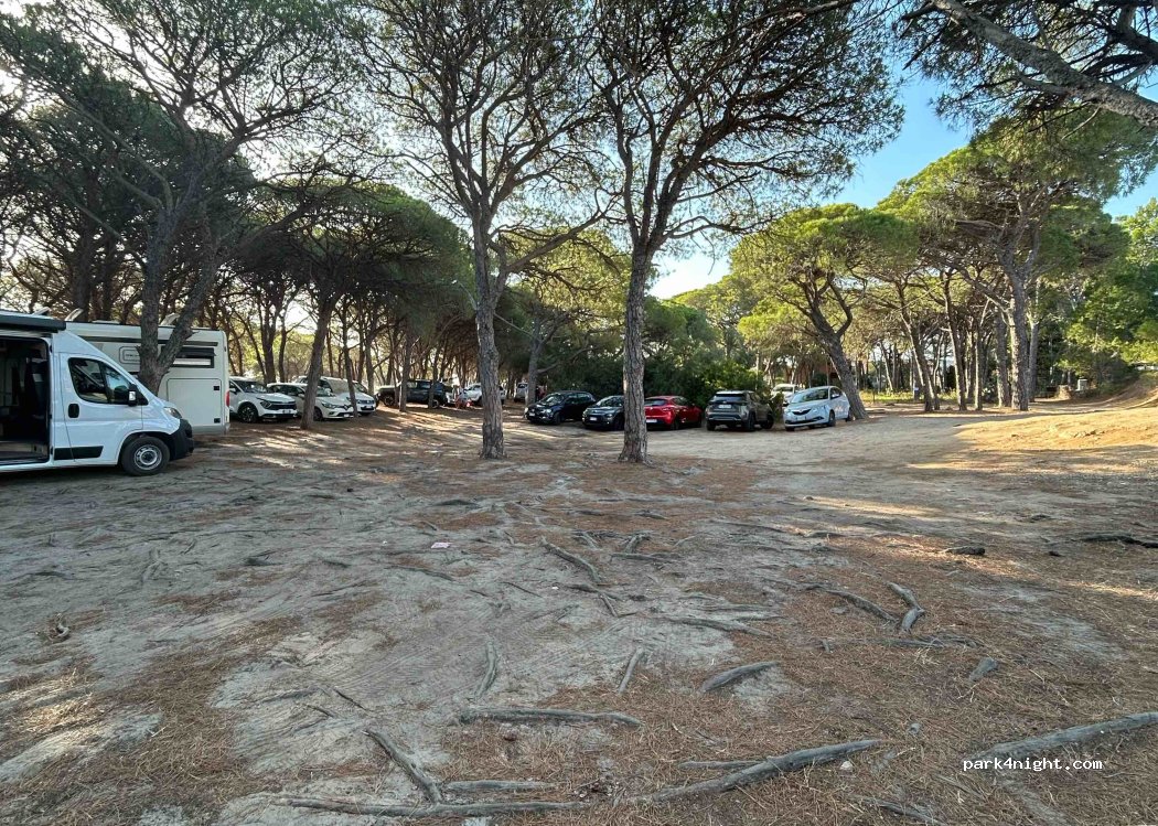(08029) siniscola - SP3 — foto 3