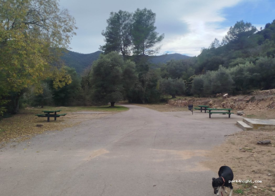 (12609) Artana - — foto