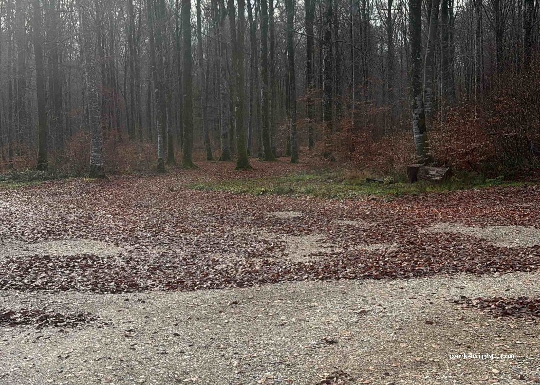 (25430) Vellevans - — foto 3