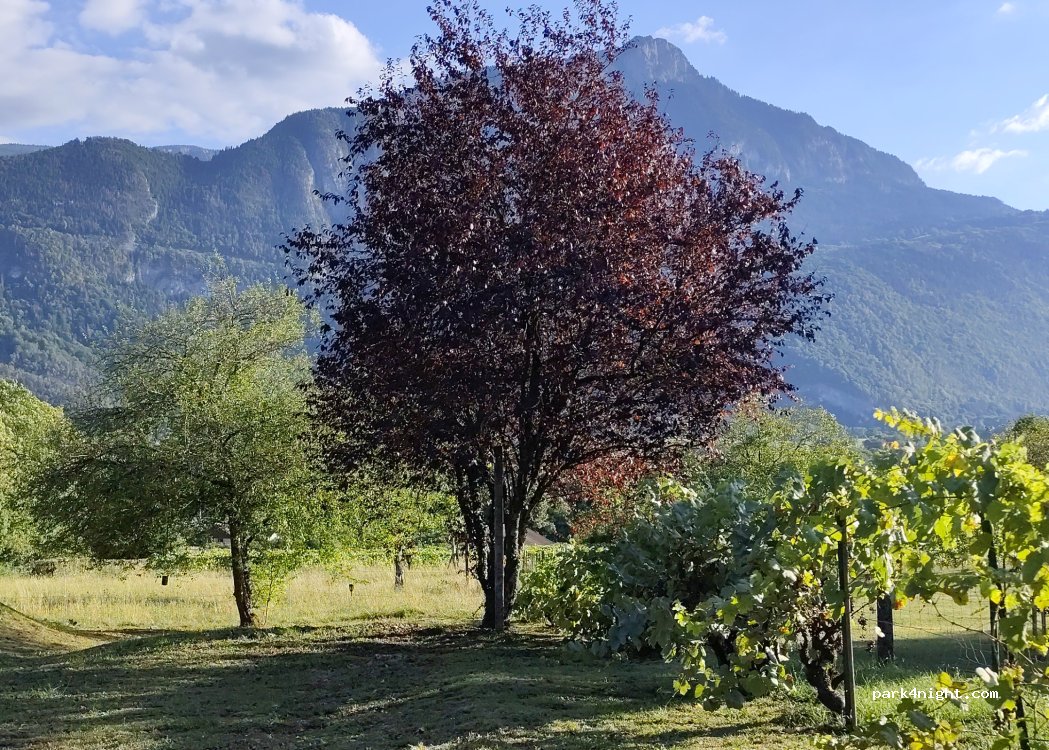 (74130) Ayse - 450 Route de Marignier — foto 4