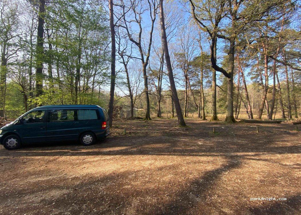 (78120) Rambouillet - Route du Coupe Gorge — foto